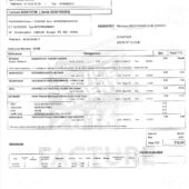 France Speedy Invoice Template in word And PDF Format (2 Pages)