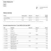 Lithuania Revolut Bank Statement Word And PDF Template (139 Pages)