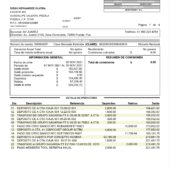 Mexico Afirme Bank Statement Word And PDF Template (4 Pages)