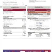 Mexico INVEX Banco Credit Card Statement Word And PDF Template (4 Pages)
