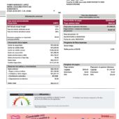 Mexico Invex Banco Credit Card Statement Word And PDF Template (5 Pages)