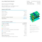 Mexico NanoPay Credit Card Statement Word And PDF Template (5 Pages)