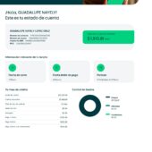 Mexico Stori Credit Card Statement Word And PDF Template (7 Pages)