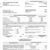 Mexico Volaris INVEX Credit Card Statement Word And PDF Template (8 Pages)