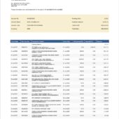 Nigeria FirstBank Bank Statement Word And PDF Template (8 Pages)