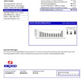 South Korea KEPCO Electricity Bill Word And PDF Template