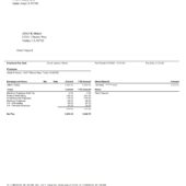 USA ALT FINANCIAL NETWORK INC PayStub Word And PDF Template (3 Pages)