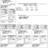 USA AMG BRICKELL INC Form W-2 Wage and Tax Statement Word And PDF Template (2 Pages)