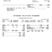 USA AZ Specialty Dental Services LLC Paystub Word And PDF Template (2 Pages)