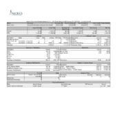 USA Ascend Performance Materials Operations PayStub Word And PDF Template (2 Pages)