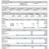 USA Axon Enterprise Inc Payslip WOrd And PDF Template (6 Pages)