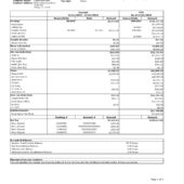 USA BFS Operations LLC Pay Stub Word And PDF Template (4 Pages)