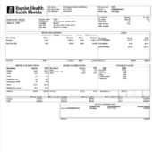 USA Baptist Health South Florida PayStub Word And PDF Template (2 Pages)