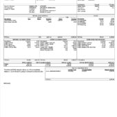 USA Brigham Young University PayStub Word And PDF Template