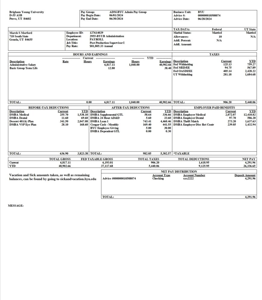 USA Brigham Young University PayStub Word And PDF Template