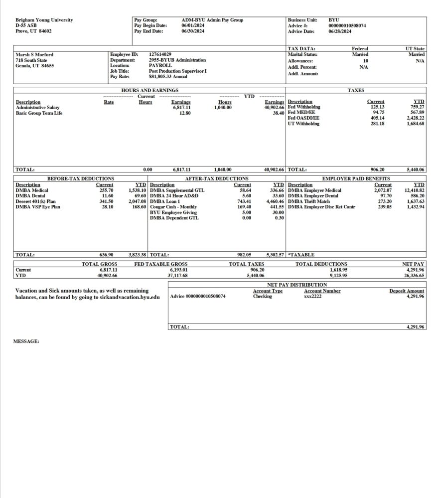 USA Brigham Young University PayStub Word And PDF Template