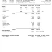 USA CBIZ Southern California Earnings Statement Word And PDF Template