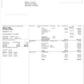 USA COUSLON AVIATION USA Pay Stub Word And PDF Template