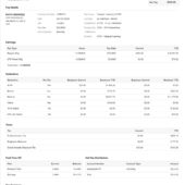 USA Catapult Learning LLC Pay Stub Word And PDF Template