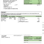 USA Central Valley Electric Cooperative Utility Bill Word And PDF Template