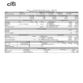 USA Citibank N.A. PayStub Word And PDF Template