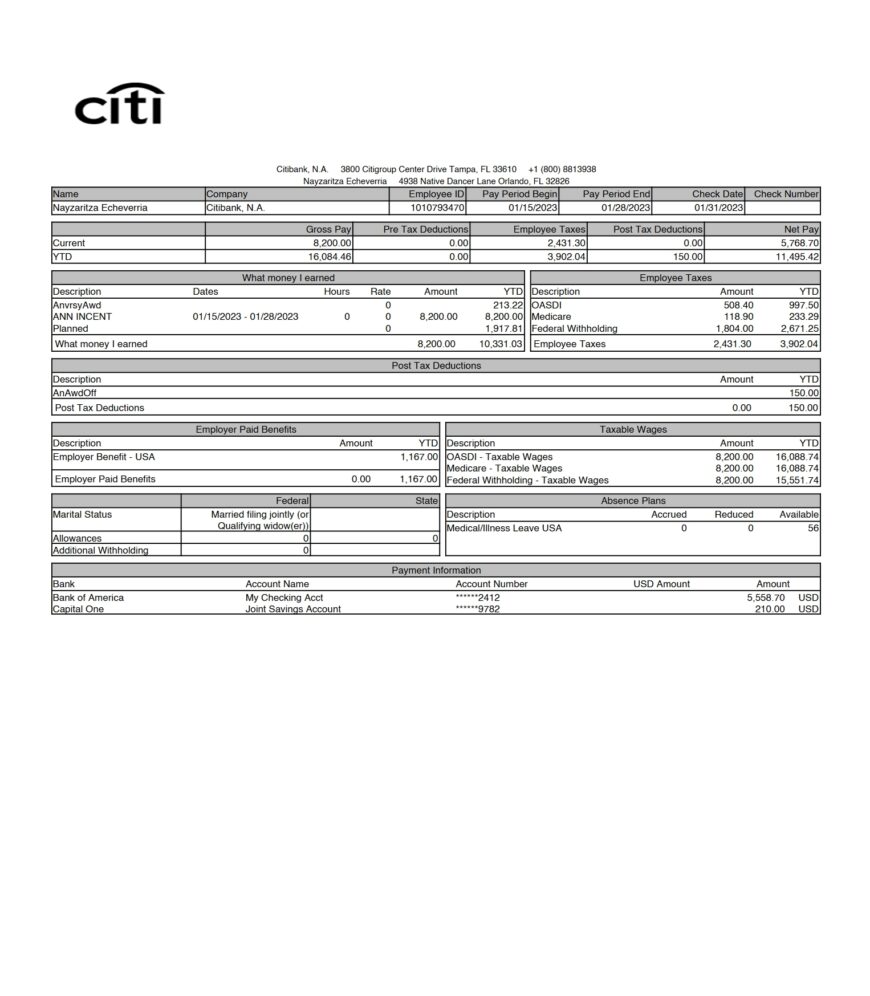 USA Citibank N.A. PayStub Word And PDF Template