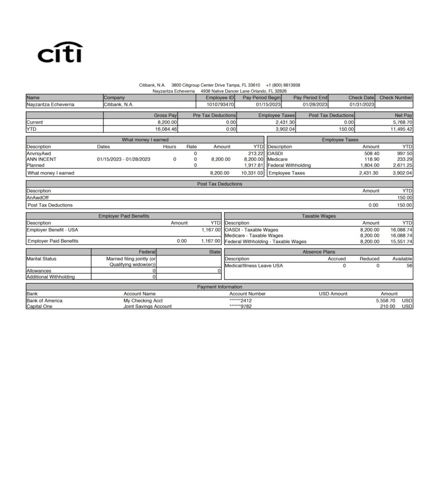 USA Citibank N.A. PayStub Word And PDF Template