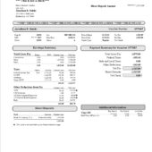 USA Dealers Electrical Supply Co Pay Stub Word And PDF Template (2 Pages)
