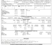 USA Department of Defense Pay Stub Word And PDF Template (2 Pages)