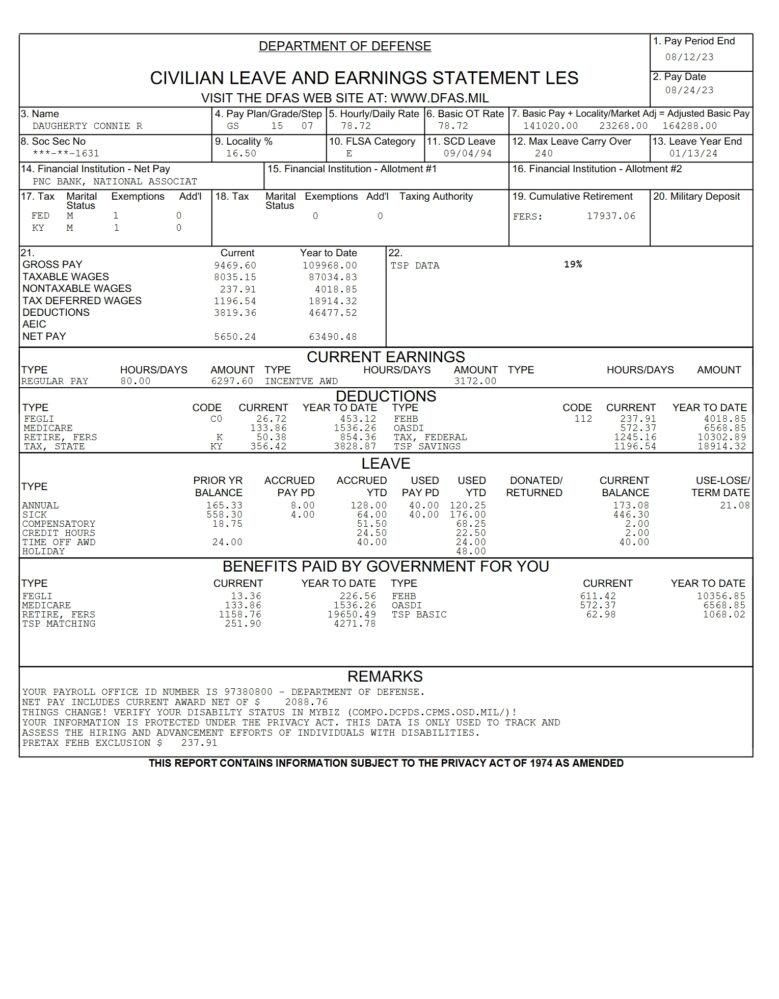 USA Department of Defense Pay Stub Word And PDF Template 2 Pages