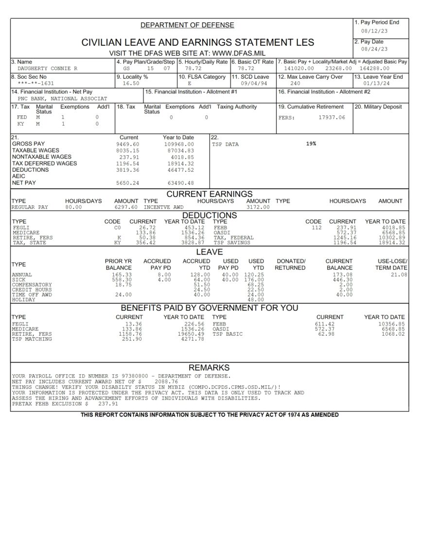 USA Department of Defense Pay Stub Word And PDF Template 2 Pages