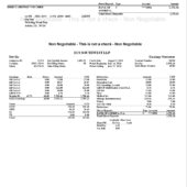 USA ECS Southwest LLP Direct Deposit Voucher Pay Slip Word And PDF Template