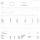 USA Electronic Arts Inc Pay Stub Word And PDF Template
