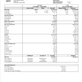 USA Emergent Product Development Gaithersburg Inc PayStub Word And PDF Template