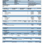 USA Envision Healthcare PayStub Word And PDF Template (6 Pages)