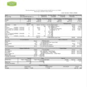 USA Extra Space Management Inc Pay Stub Word And PDF Template (2 Pages)