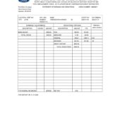 USA Ford Motor Company PayStub Word And PDF Template (2 Pages)