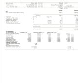 USA Forney Independent School District Earnings Statement Word And PDF Template