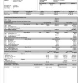USA Frito-Lay Inc PayStub Template In Word And PDF format