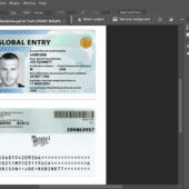 USA Global Entry Card psd Template
