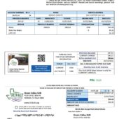 USA Green Valley Special Utility District Utility Bill Word And PDF Template (2 Pages)