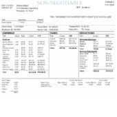 USA Innovative Aftermarket Systems LP Pay Stub Word And PDF Template