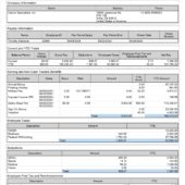 USA Interior Logic Group PayStub Word And PDF Template (4 Pages)