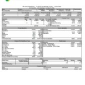 USA Invitation Homes THR Property Management LP PayStub Word And PDF Template