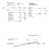 USA James P Walsh LMFT Inc Earnings Statement Word And PDF Template (4 Pages)
