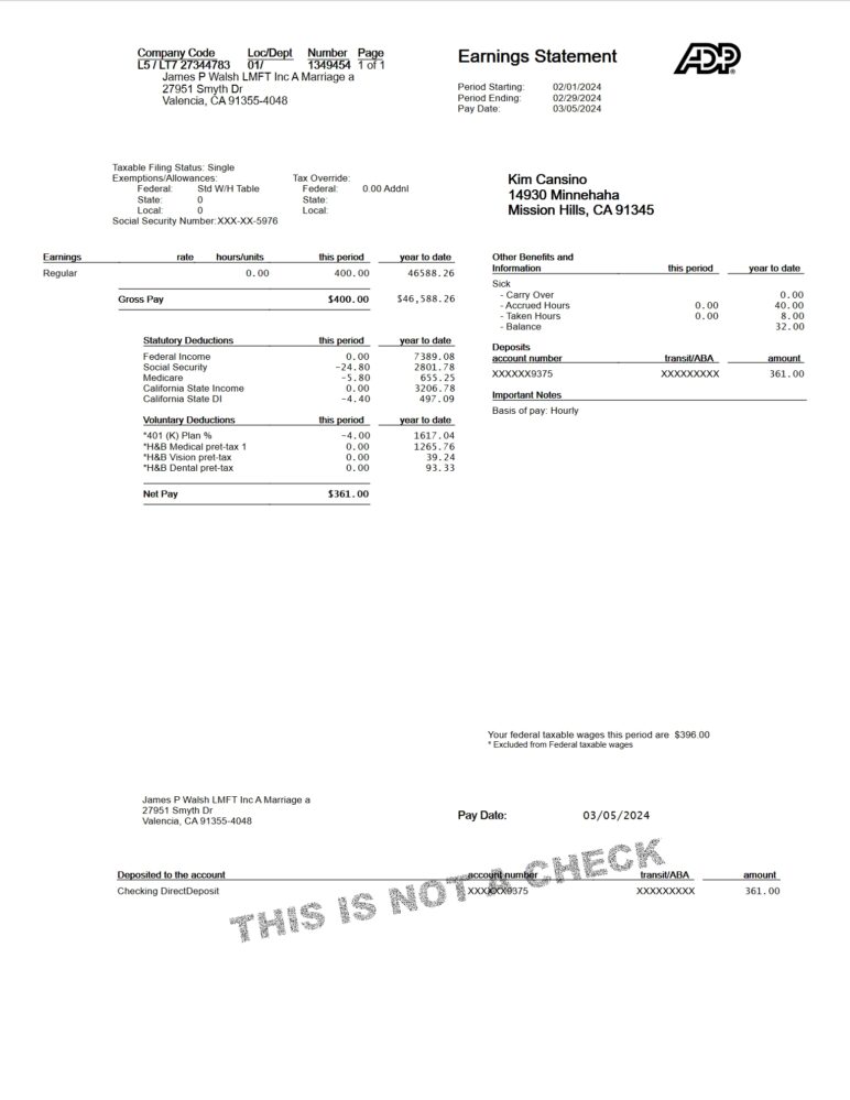 USA James P Walsh LMFT Inc Earnings Statement Word And PDF Template 4 Pages