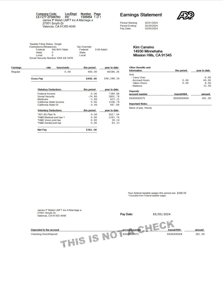 USA James P Walsh LMFT Inc Earnings Statement Word And PDF Template 4 Pages