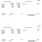 USA Larry J Herring Pay Stub Word And PDF Template (2 Pages)