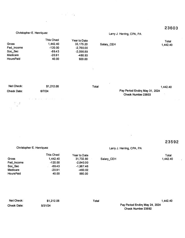 USA Larry J Herring Pay Stub Word And PDF Template 2 Pages