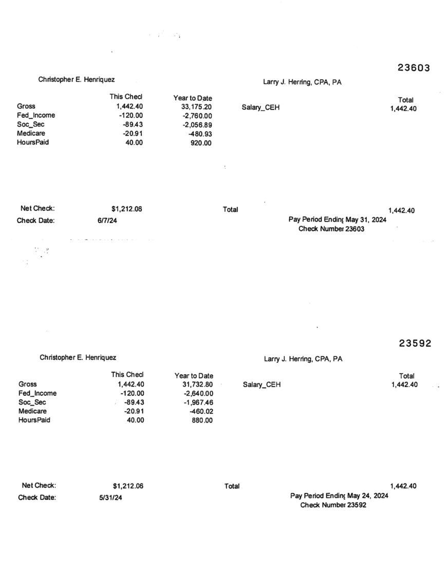 USA Larry J Herring Pay Stub Word And PDF Template 2 Pages